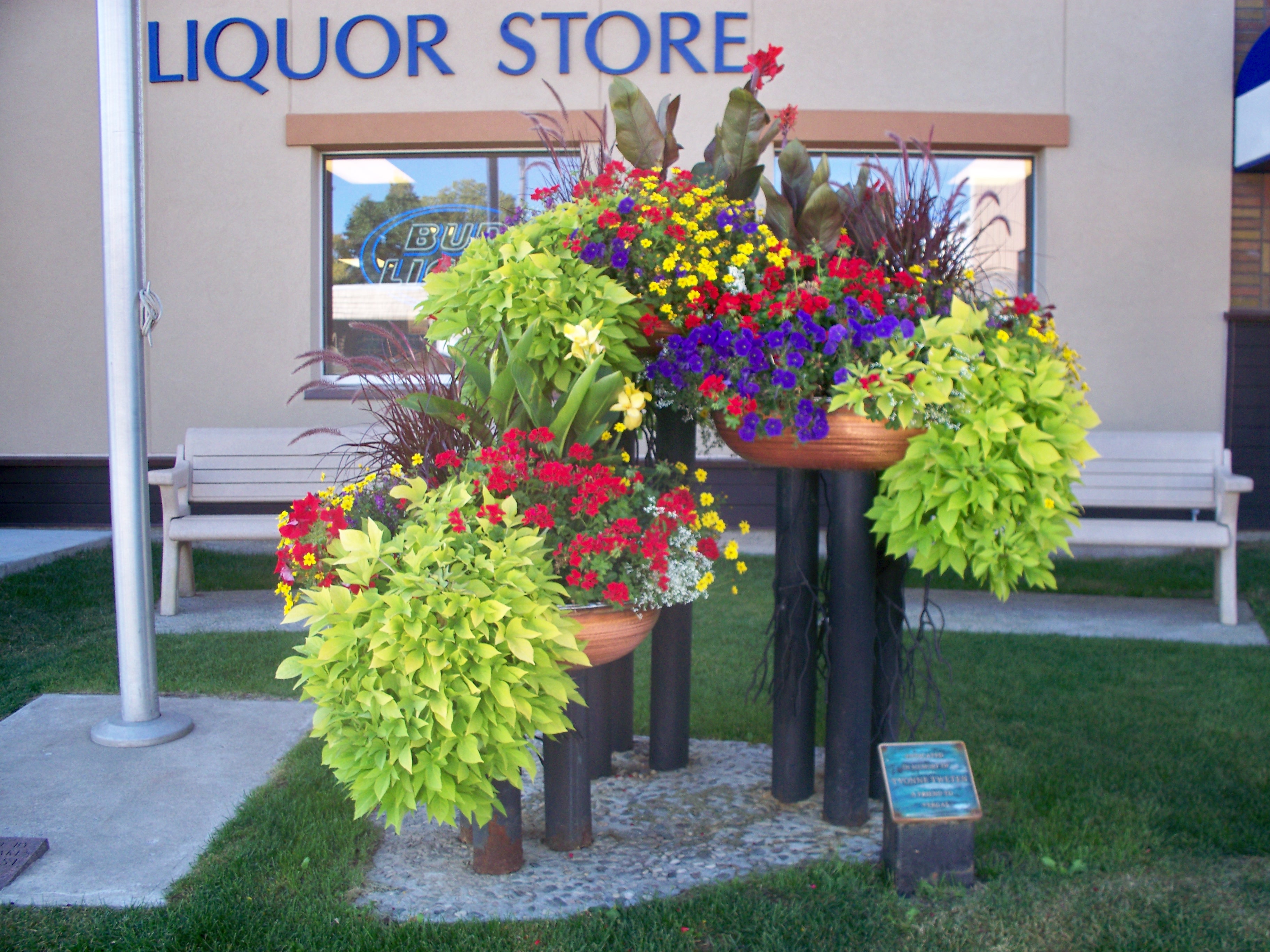 Find the Vergas Municipal Liquor Store on Facebook